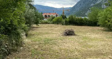 Gewerbefläche in Risan, Montenegro