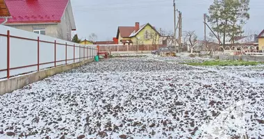 Plot of land in Telminski sielski Saviet, Belarus