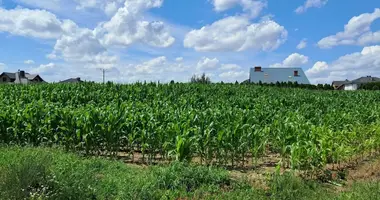 Plot of land in Goluski, Poland