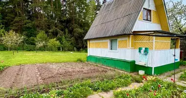 House in Zodzinski sielski Saviet, Belarus