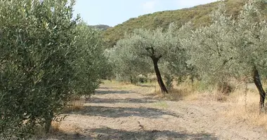 Terrain dans Chaniotis, Grèce