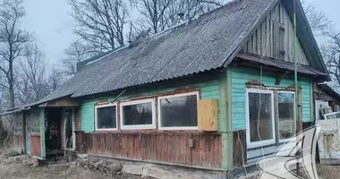 House in Damacauski sielski Saviet, Belarus