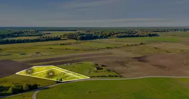Plot of land in Anglininkai, Lithuania