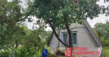 1 bedroom house in Adelski sielski Saviet, Belarus