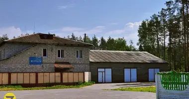Manufacture 3 595 m² in Jalizava, Belarus