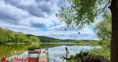 Участок земли в Озерицко-Слободской сельский Совет, Беларусь