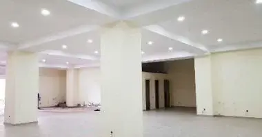 Commercial space for rent in Tbilisi, Saburtalo в Тбилиси, Грузия