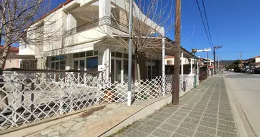 Commercial property 50 m² in Nikiti, Greece