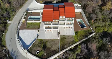 Villa 6 bedrooms with parking, with Furnitured, with Air conditioner in Budva, Montenegro
