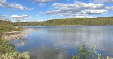 Участок земли в Плещеницкий сельский Совет, Беларусь
