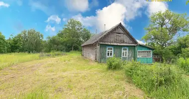 Dom w Stankauski sielski Saviet, Białoruś
