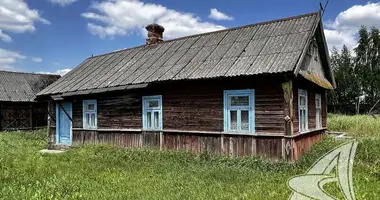 Haus in Znamienka, Weißrussland