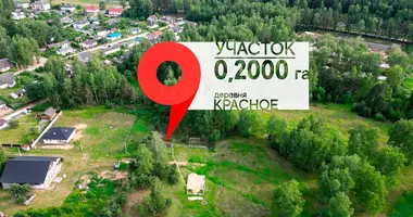 Grundstück in Krasnaje, Belarus