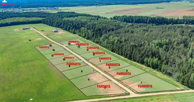 Działka w Międzyrzecze Nowe, Litwa