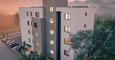 Condo 1 chambre avec Ascenseur, avec Climatiseur, avec Vue sur la montagne dans Monténégro