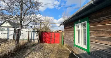 House in Barysaw, Belarus