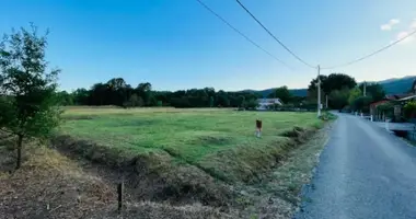 Parcela en Municipio de Danilovgrad, Montenegro