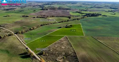 Plot of land in Musteniai, Lithuania
