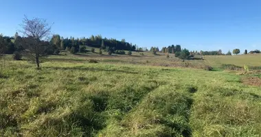 Terrain dans Semeliskes, Lituanie