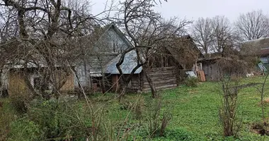 Haus 2 zimmer in Msinskaa, Russland