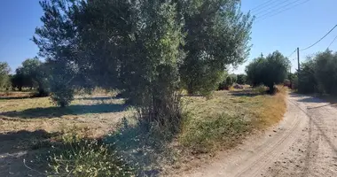 Terrain dans Skala Fourkas, Grèce