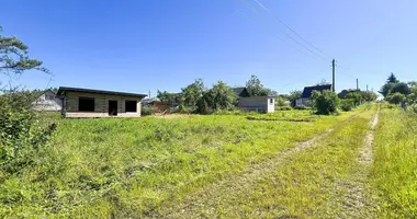 Grundstück in Aliachnovicki sielski Saviet, Belarus
