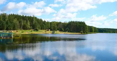 Plot of land in Barauski sielski Saviet, Belarus