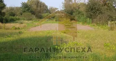 House in Aharodnicki sielski Saviet, Belarus