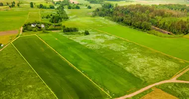 Plot of land in Gudeliu Plytine, Lithuania