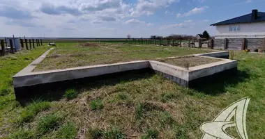 Plot of land in carnaucycki sielski Saviet, Belarus