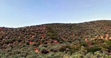 Terrain dans Pyrgadikia, Grèce