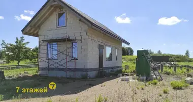 House in Lasanski sielski Saviet, Belarus