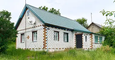 House in Starasvierzanski sielski Saviet, Belarus