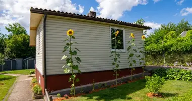 House in Smiltynai II, Lithuania