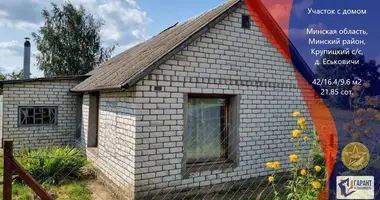 House in Krupicki sielski Saviet, Belarus