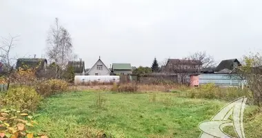 Plot of land in Muchaviecki sielski Saviet, Belarus