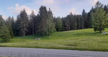 Terrain dans Zabljak, Monténégro