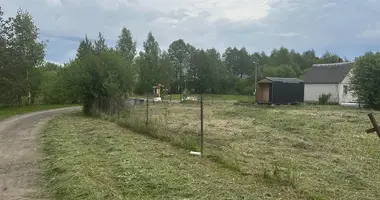 Grundstück in Nieharelski sielski Saviet, Belarus