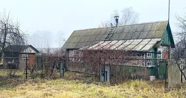 Haus in Sluzk, Weißrussland