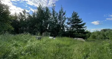 Plot of land in Astrasyckaharadocki sielski Saviet, Belarus