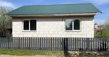 House in Dziarzynski sielski Saviet, Belarus