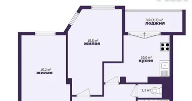 2 room apartment in Minsk, Belarus