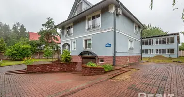 House in Kalodziscanski sielski Saviet, Belarus