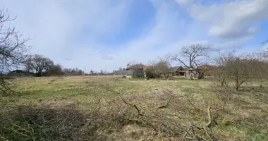 Участок земли в Мир, Беларусь