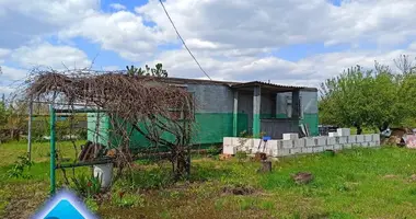 Haus in Azerscynski selski Savet, Belarus