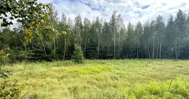 Działka w Dziescanski sielski Saviet, Białoruś