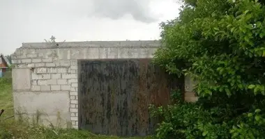 Grundstück in Pliski selski Savet, Belarus