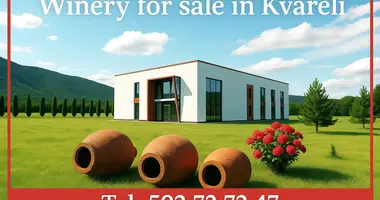  Fully equipped, brand-new wine factory with a full production cycle, located in Kvareli  en Kvareli, Georgia