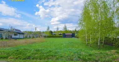 Участок земли в Логойский сельский Совет, Беларусь