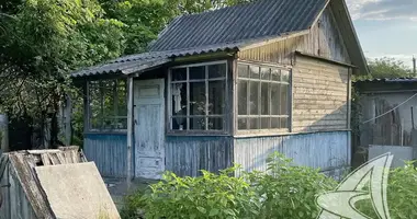 House in Kamianica Zyravieckaja, Belarus